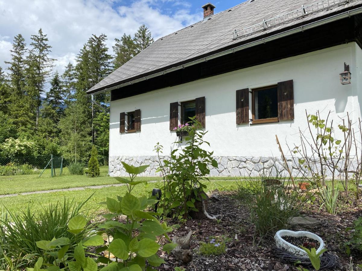 Chalet Am Weissenbach Hinterstoder Bagian luar foto