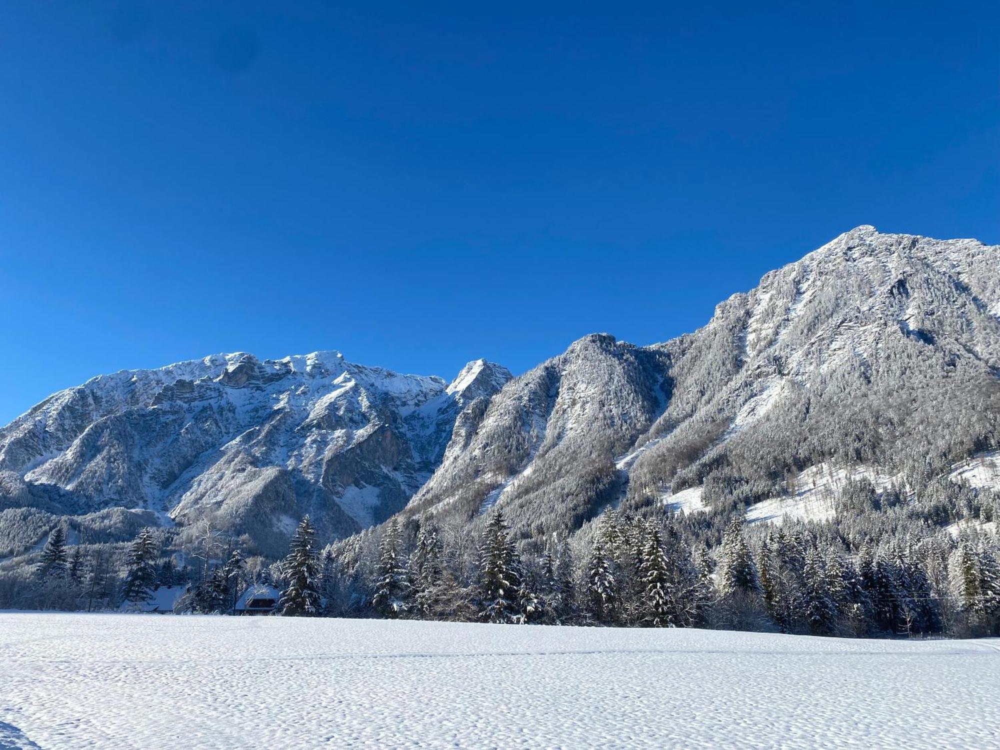 Chalet Am Weissenbach Hinterstoder Bagian luar foto